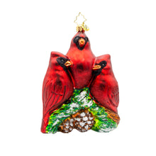 Load image into Gallery viewer, Cardinal Garden Greetings