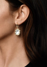 Load image into Gallery viewer, Bamboo Mother of Pearl Drop Earrings