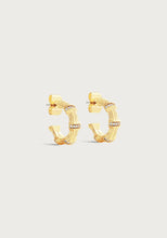 Load image into Gallery viewer, Bamboo Huggie Hoop Earrings