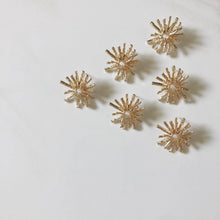 Load image into Gallery viewer, Sierra: Gold Starburst Earring