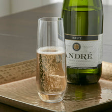 Load image into Gallery viewer, Puraform 8-oz Tritan Stemless Champagne Flute