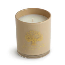 Load image into Gallery viewer, Saddle 13.5oz Candle