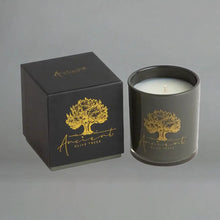Load image into Gallery viewer, Cashmere 13.5oz Candle