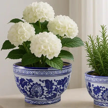 Load image into Gallery viewer, Blue/White Ceramic Chinoiserie Planters