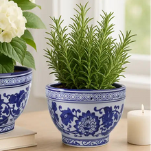 Load image into Gallery viewer, Blue/White Ceramic Chinoiserie Planters