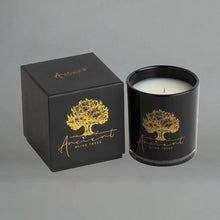Load image into Gallery viewer, Silk Road 13.5oz Candle