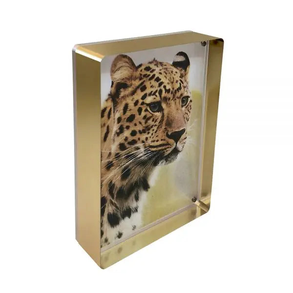 Prestige Gold Edge 4x6 Magnet Frame