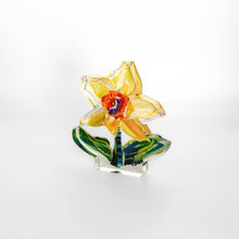 Load image into Gallery viewer, Single Daffodil Bloom
