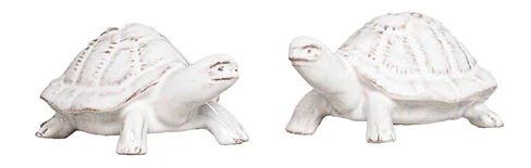 Clever Creatures Turtle Salt & Pepper Set