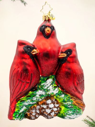 Cardinal Garden Greetings