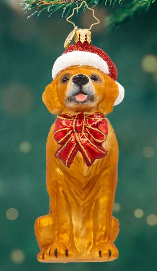 Golden Paws Pal