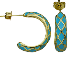 Load image into Gallery viewer, Enamel Latch Back Earrings
