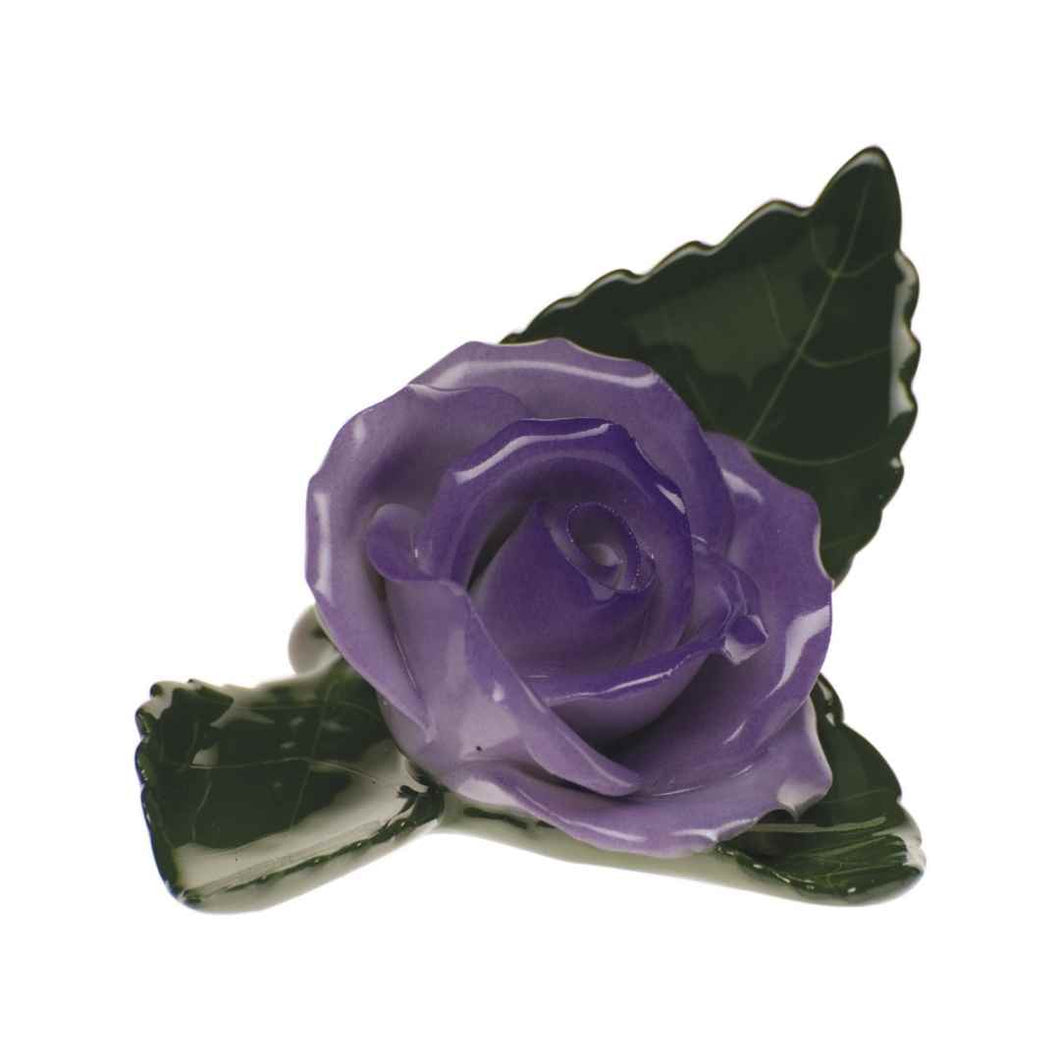 Lavender Rose on Leaf