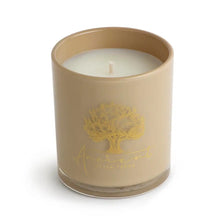 Load image into Gallery viewer, Saddle 13.5oz Candle
