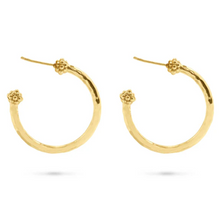 Load image into Gallery viewer, Berry Slice Hoop Earrings
