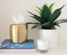 Load image into Gallery viewer, The Coco Tissue Vessel
