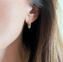 Load image into Gallery viewer, Bali Hoop Earrings
