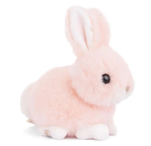 Load image into Gallery viewer, Baby Bunny
