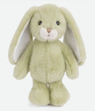 Load image into Gallery viewer, Jumpy Bunny
