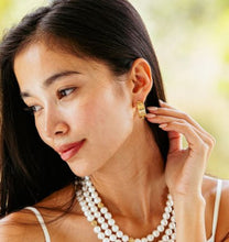 Load image into Gallery viewer, Berry Classic Small Hoop Earrings
