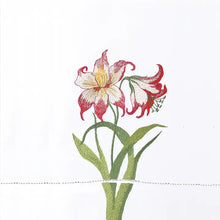 Load image into Gallery viewer, Winter Garden Guest Towel
