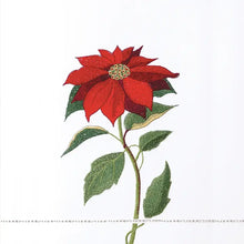 Load image into Gallery viewer, Winter Garden Guest Towel
