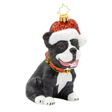 Load image into Gallery viewer, Frenchie the Friend
