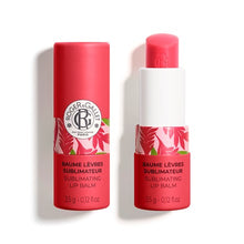 Load image into Gallery viewer, Red Ginger Lip Balm
