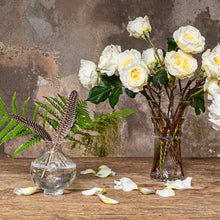 Load image into Gallery viewer, Graham Clear Mini Vase
