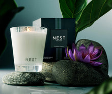 Load image into Gallery viewer, Forest Rain Classic Candle
