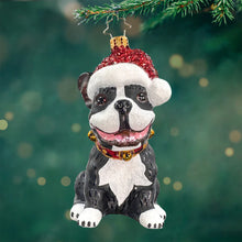 Load image into Gallery viewer, Frenchie the Friend
