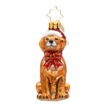 Load image into Gallery viewer, Golden Paws Pal Gem

