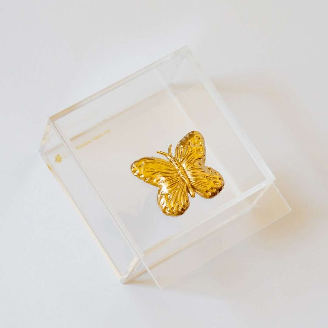 Butterfly Acrylic Box